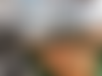 Brasil bate recorde e mais que dobra exportações de ovos em 2025