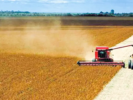 Colheita de soja 2023/24 atinge 21% da área no Brasil, mostra Conab