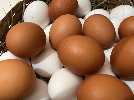 Fonte de proteínas, ovos são uma escolha nutritiva e prática para dietas