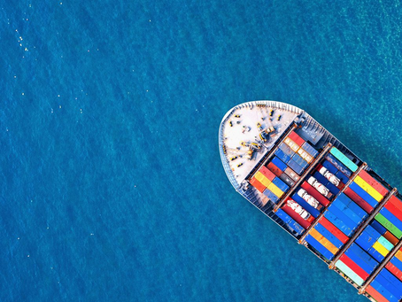 Bons números da avicultura com altas de produção e exportação em 2023