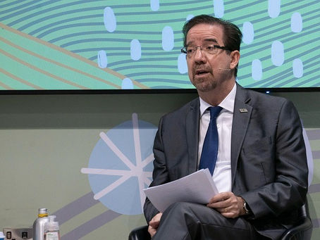 Presidente da Embrapa defende, na COP26, transformação de sistemas alimentares em nível global