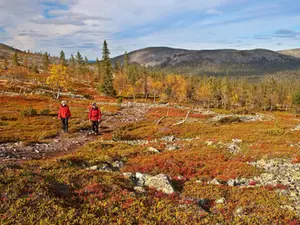 Vendor Spotlight: Backroads