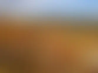 Vendor Spotlight: Backroads