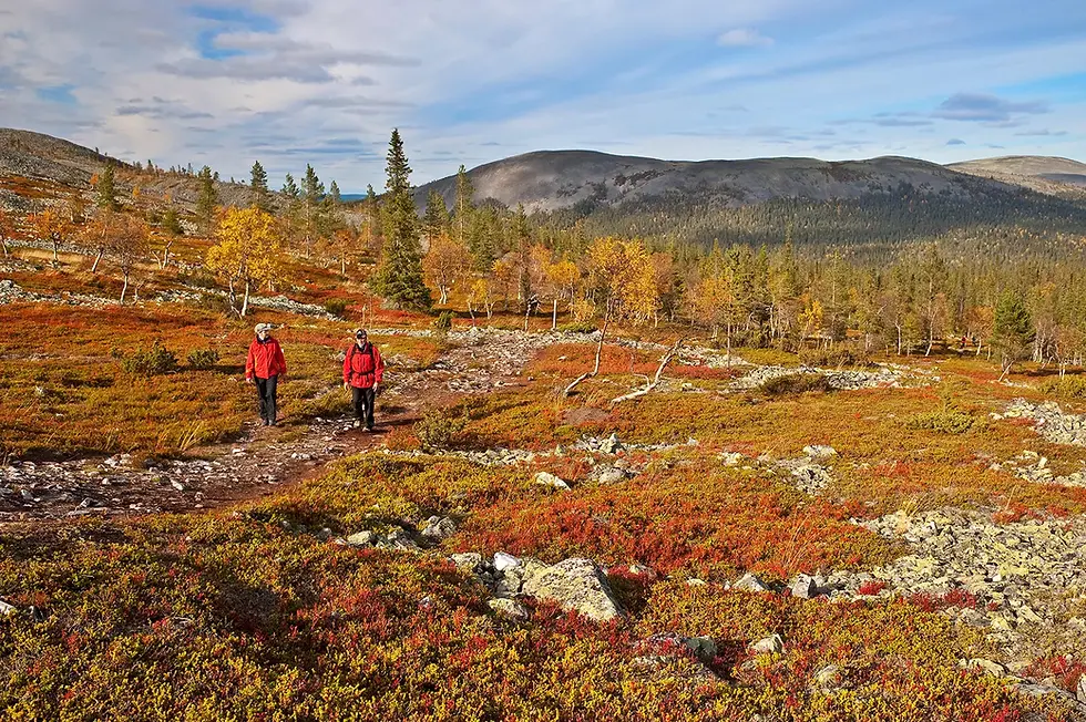 Vendor Spotlight: Backroads