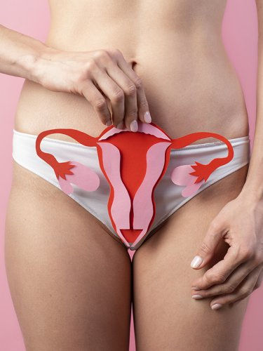 Imagem de ginecologia: Ilustração do sistema reprodutor feminino representando atendimento especializado em ginecologia.