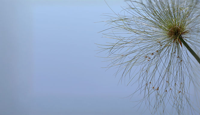 AEnB2Uph-PegpTTLhypr0eCHIgYzJNfM1-6ccFvBWRBX8PNg_L4-glD-bKPKUKdiYZBvtxStiO6QAm6KLtuCoyJCKL