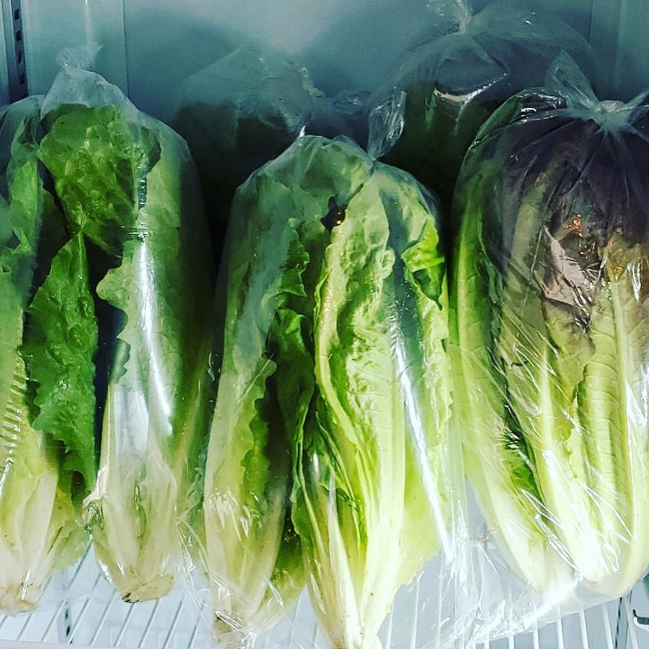 Romaine