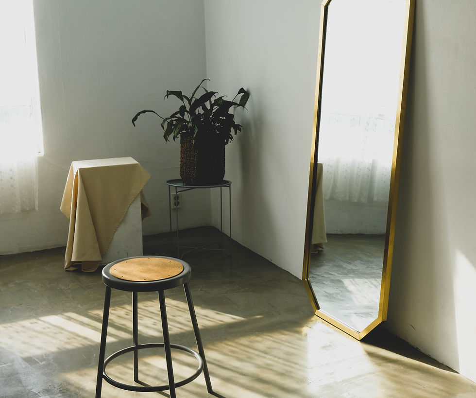 a gold mirror, stoll and plant