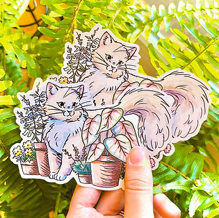 Cat and Plants.jpg