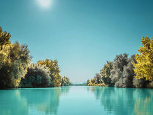 Wie der Herbst uns lehrt, Veränderung zu umarmen