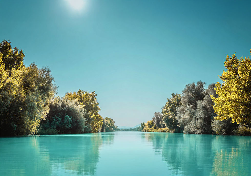 Wie der Herbst uns lehrt, Veränderung zu umarmen