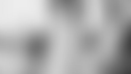 Whitewedding Showroom Budapest nyíltnap és divatbemutató 2026.01.22. -Esküvőszervezés divatbemutatók és minden egyhelyen Budapest szívében