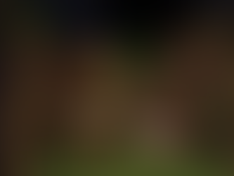 Minecraft Chefs Recipe Book: