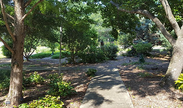 arboretum.jpg