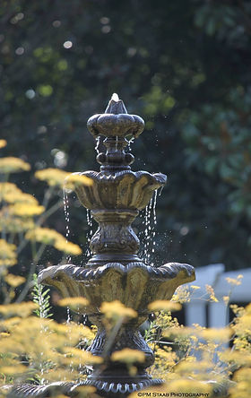 fountain.jpeg