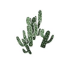 Green Cactus Stickers