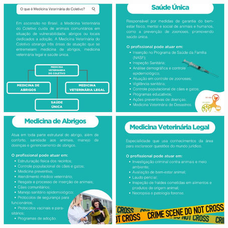 Coletivet, grupo de estudos sobre Medicina Veterinária do Coletivo