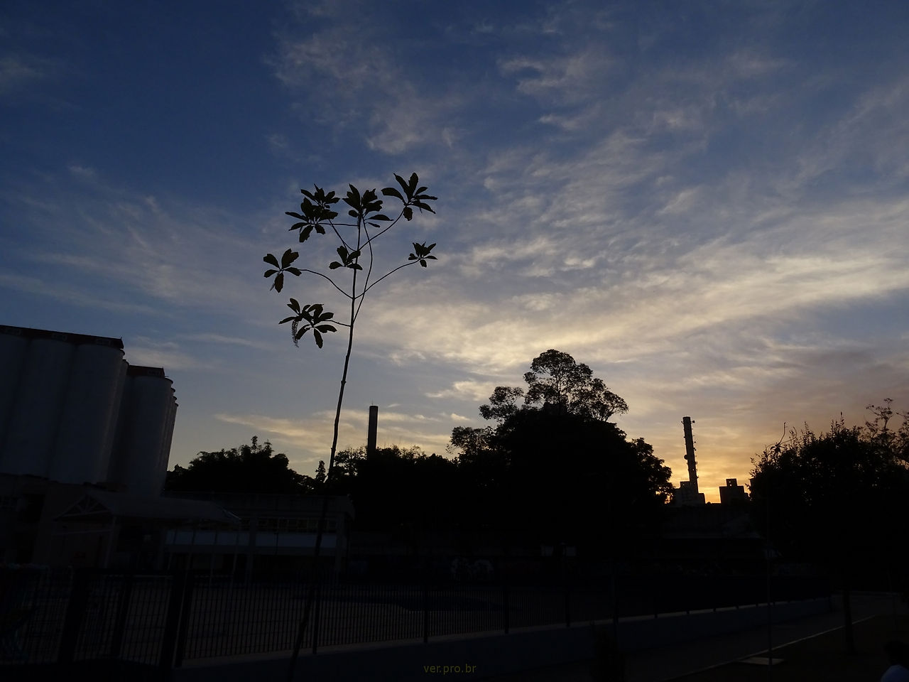 crepusculo30-05 (1)