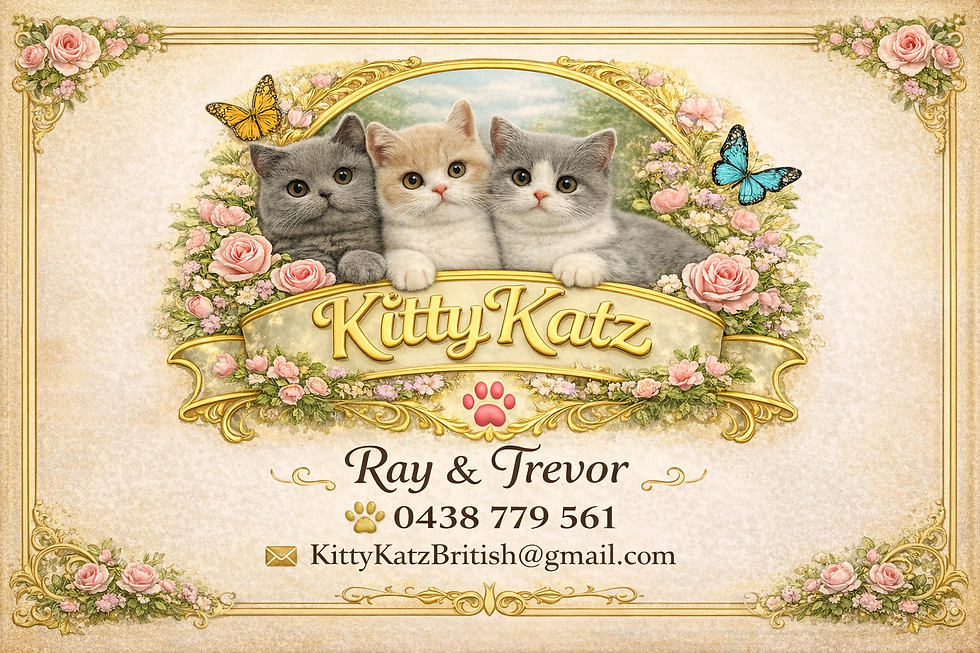 buisness card idea 1 front.png