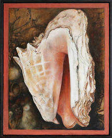 Conch Shell by Jane Friedman