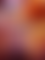 Chapter 14: The Road So Far