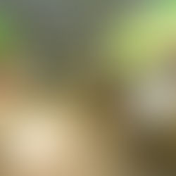 NovaMeats China opens its first Quick Service Restaurant