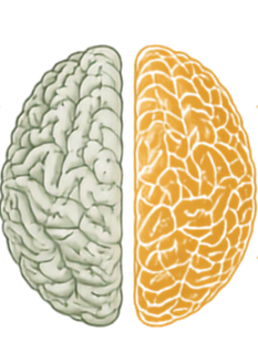 Mental health includes our emotional, psychological, social, and behavioral conditions_edi