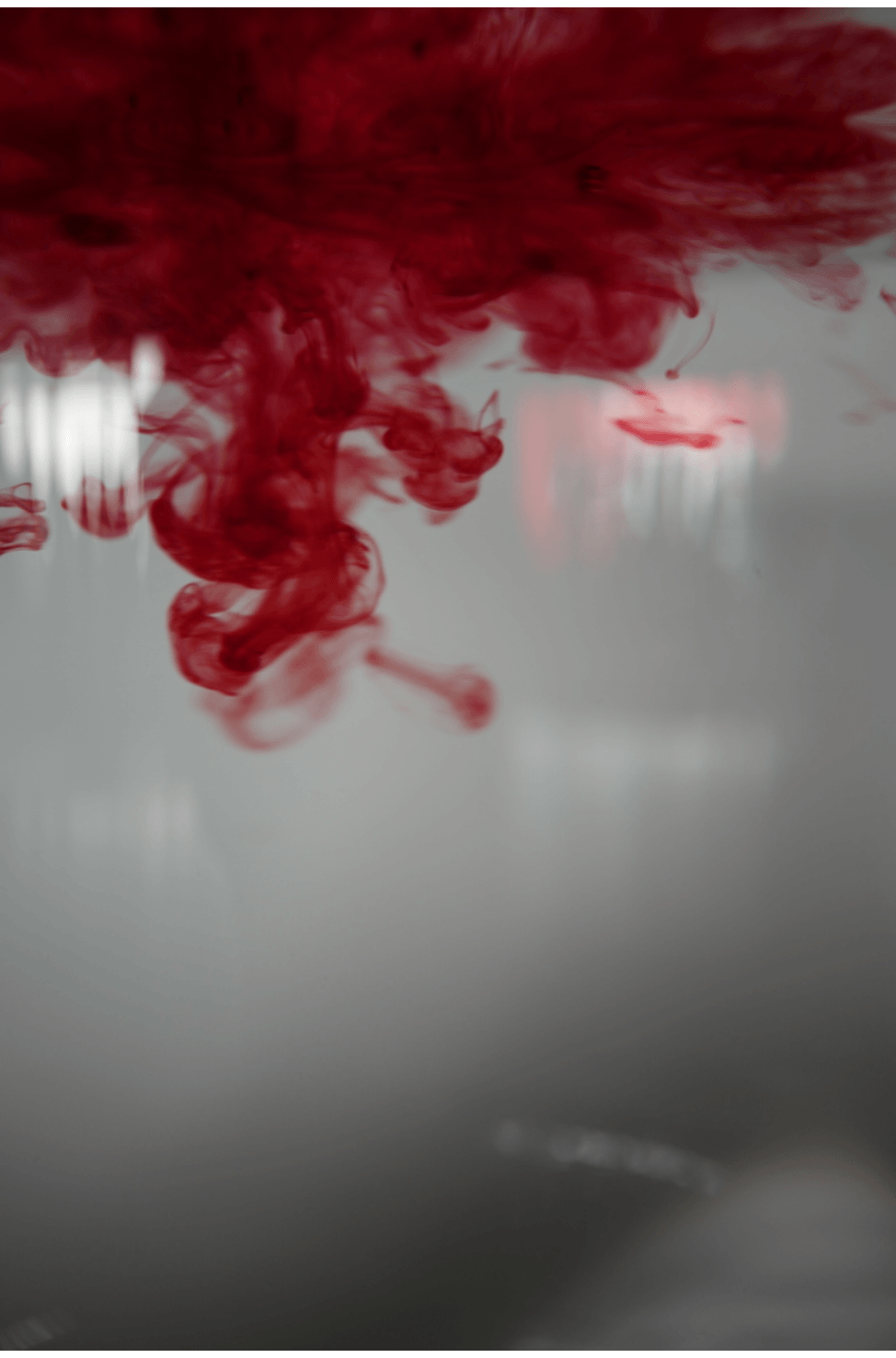 Webp.net-gifmaker (1).gif