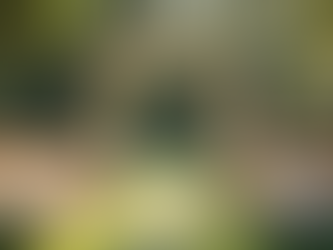 Effective Strategies for Overcoming Common Wedding Ceremony Challenges