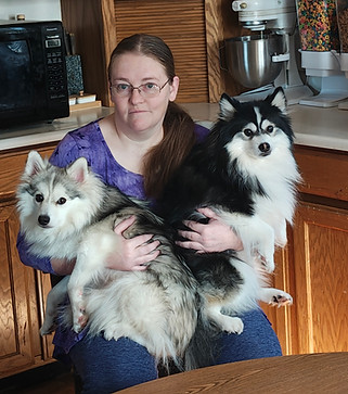 owner of Idaho Pomsky with dogs in Idaho Falls, Idaho