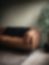 0D69DD3F-B5EE-44B8-8328-FA782FAE4718_edited.png