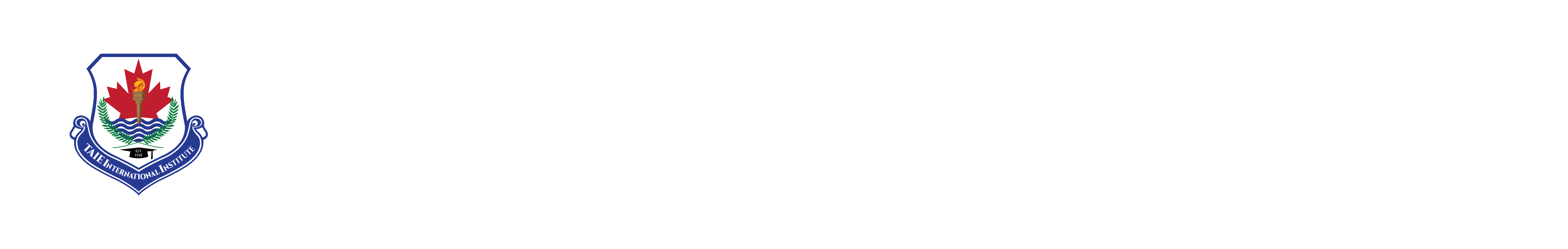 TAIE International Institute logo