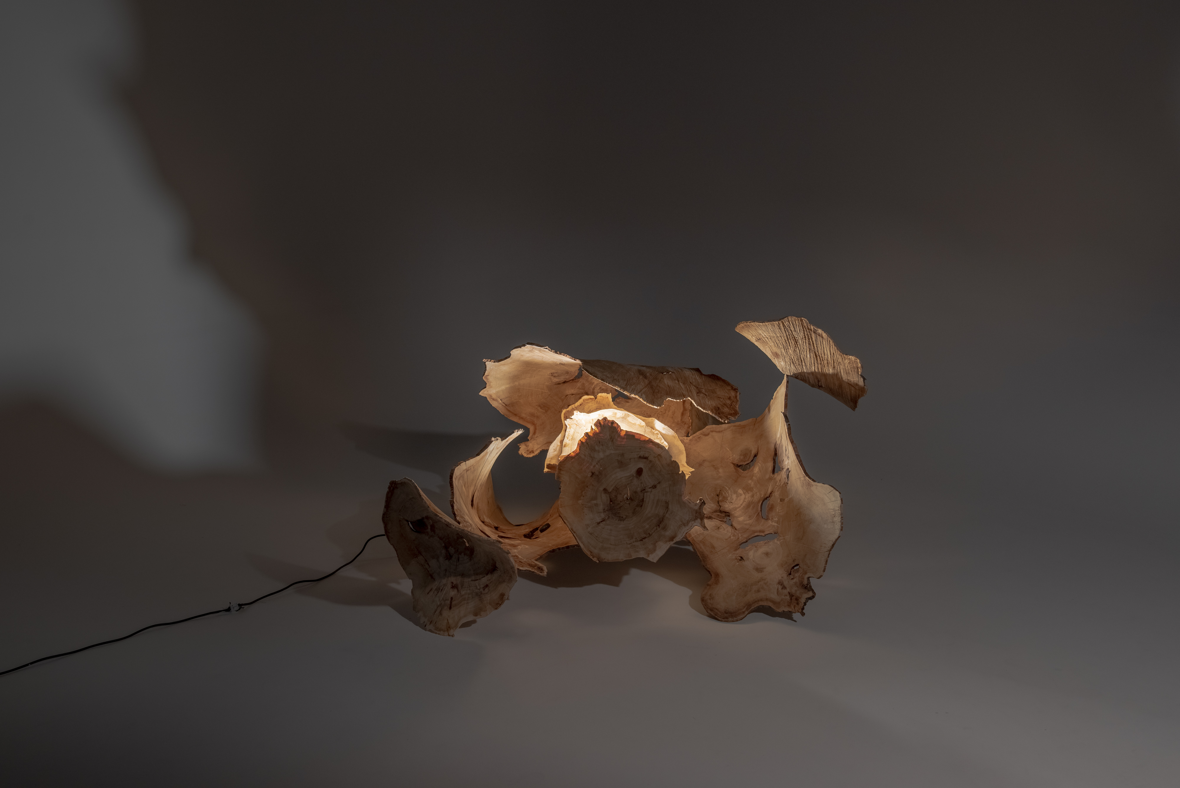 material lights