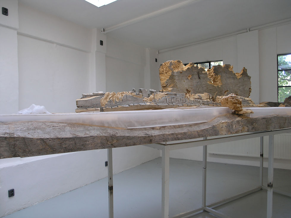 Krajina v hmle/ Landscape in fog