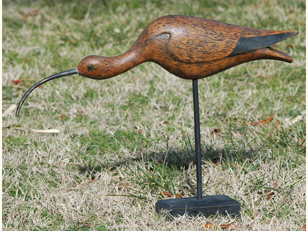 Phillips style curlew