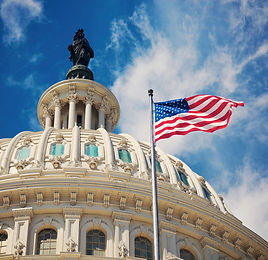 Find Your Legislator