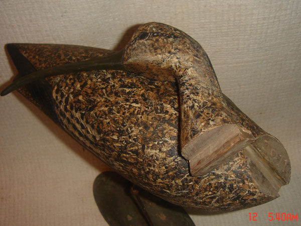 Thumbnail: Running curlew