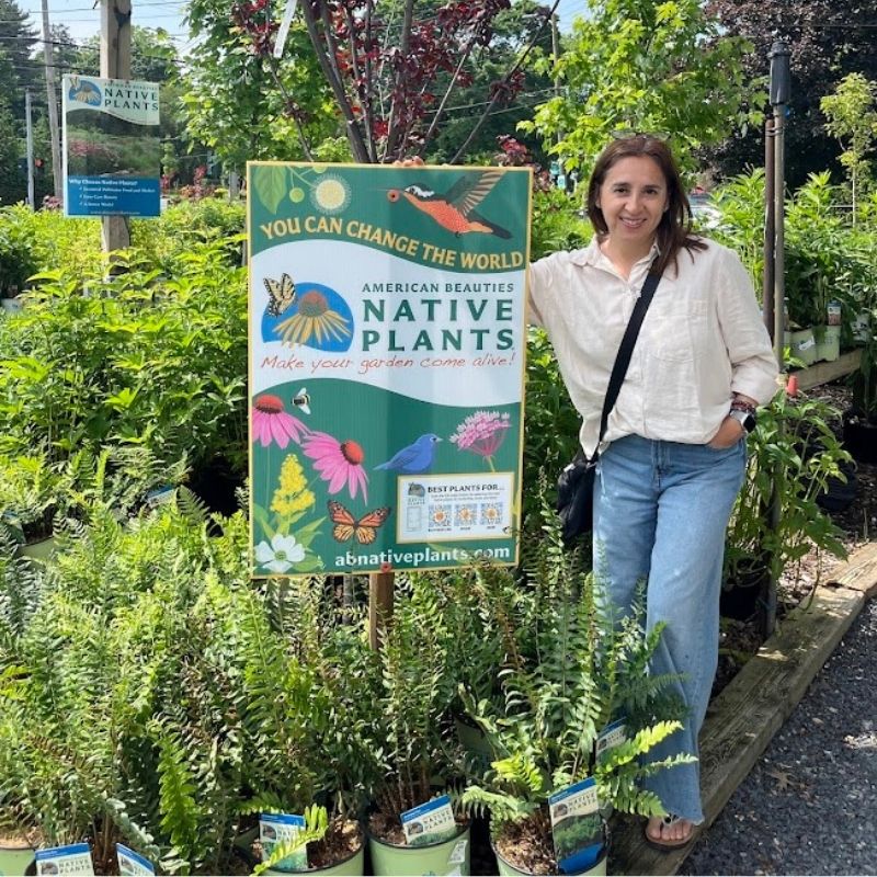 Jade Garden Design.jpg