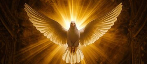 new-testament-holy-spirit-jesus-christ-communion-baptism-christian-religious-sermon-dove-p