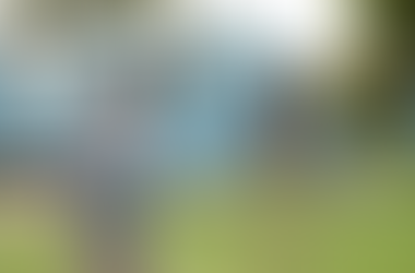 Series 1 Finale - Why?