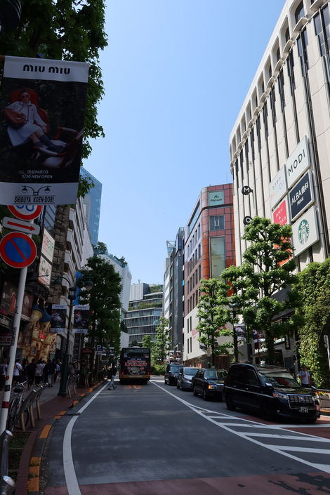 Japan Scenery