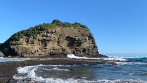 Vijf Dagen in Auckland