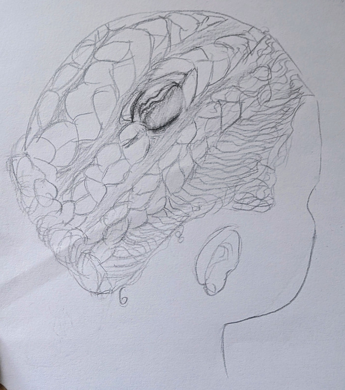 Figure 3 Sketch of kola braided in hair.jpg
