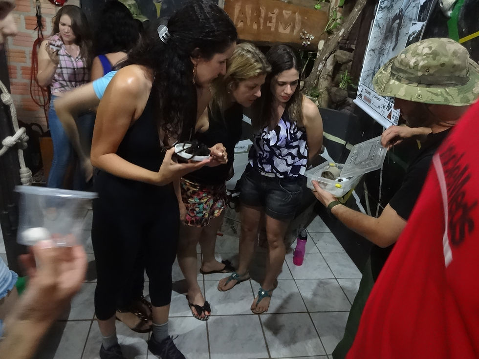 Palestra sobre Ofídios