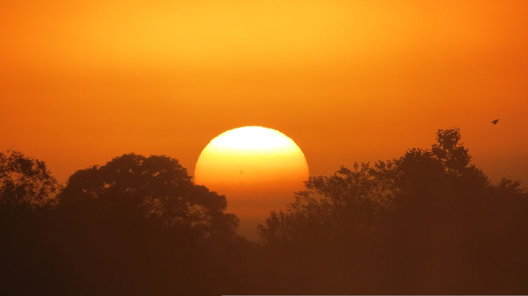 Pantanal Sul-Mato-Grossense Eco-expedição Mato Grosso do Sul - Brasil e Bolívia
