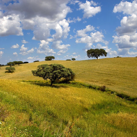 Portugal com a Naturgift