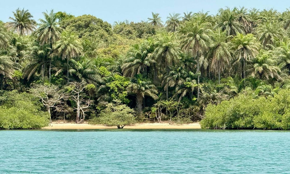 Arquipélago dos Bijagós, reserva UNESCO da Biosfera