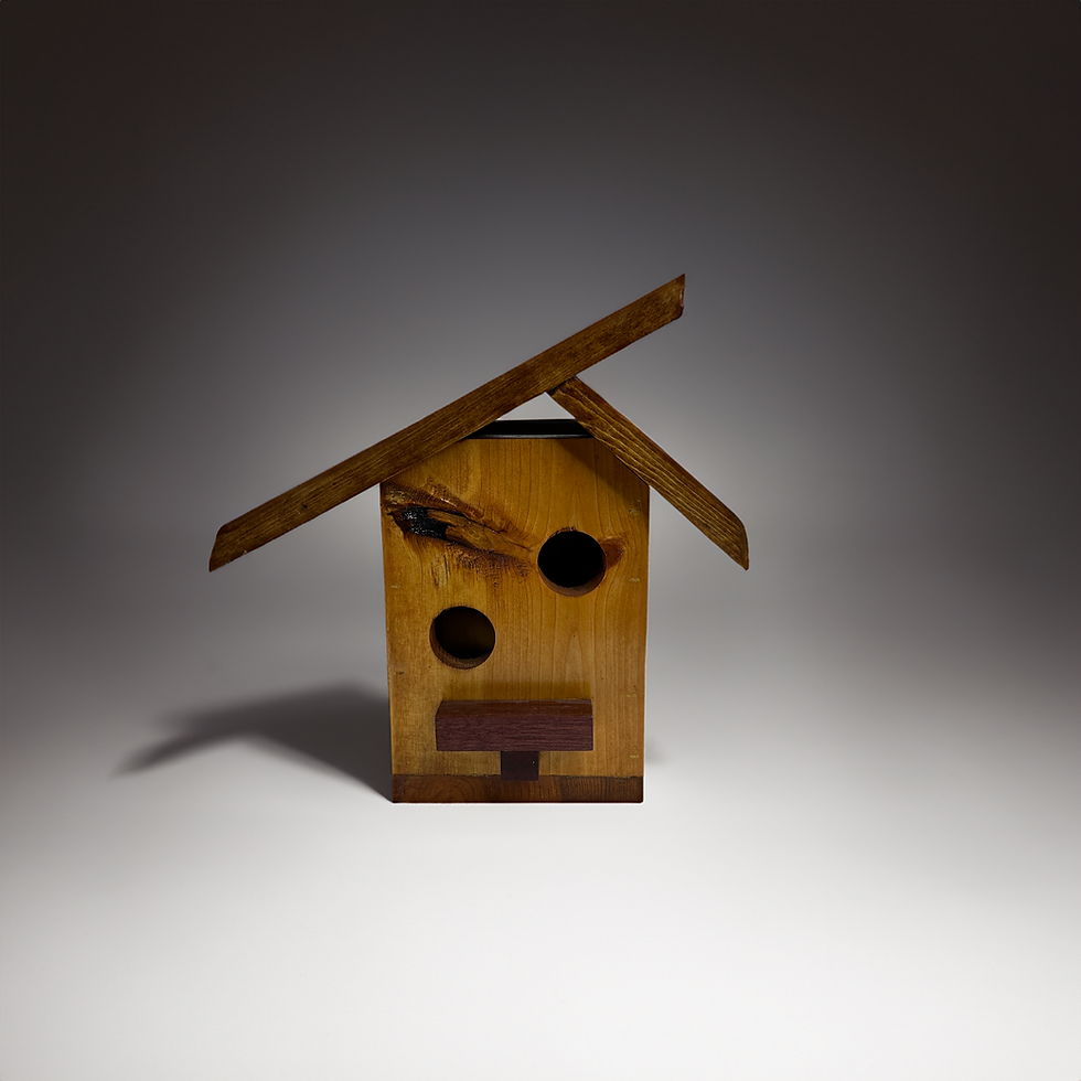 The Birdhouse by Ray Huth