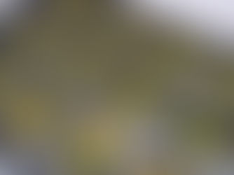 spinach and egg image