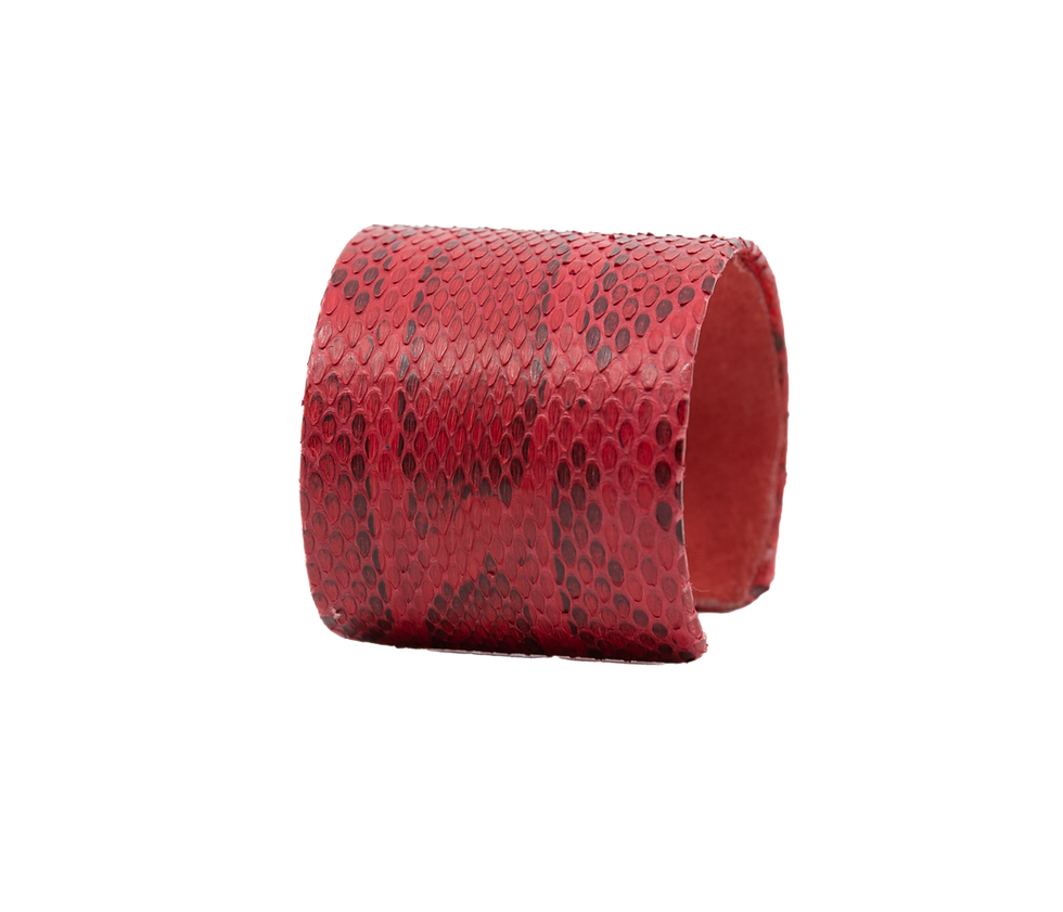 Thumbnail: Cuff | Python | Red